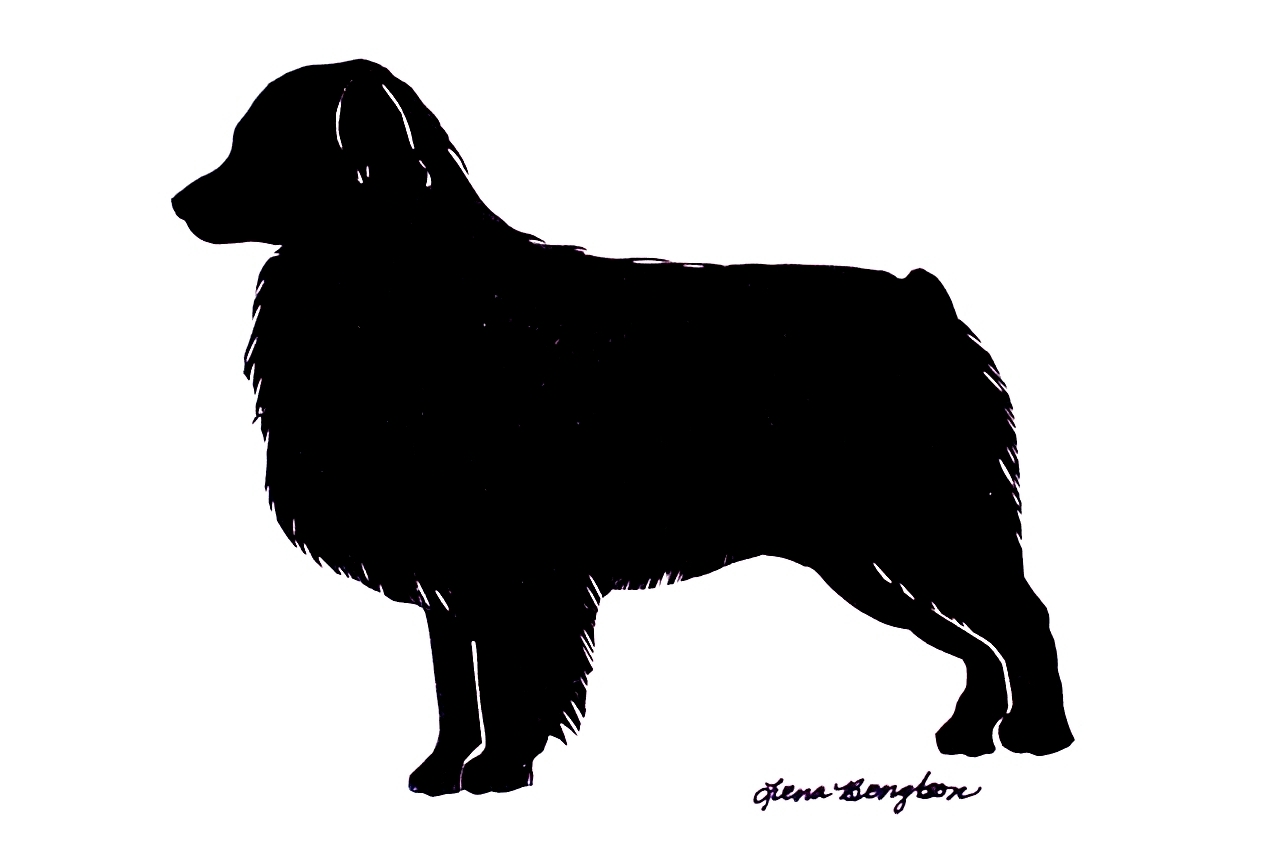 Australian sheperds clipart 20 free Cliparts | Download images on