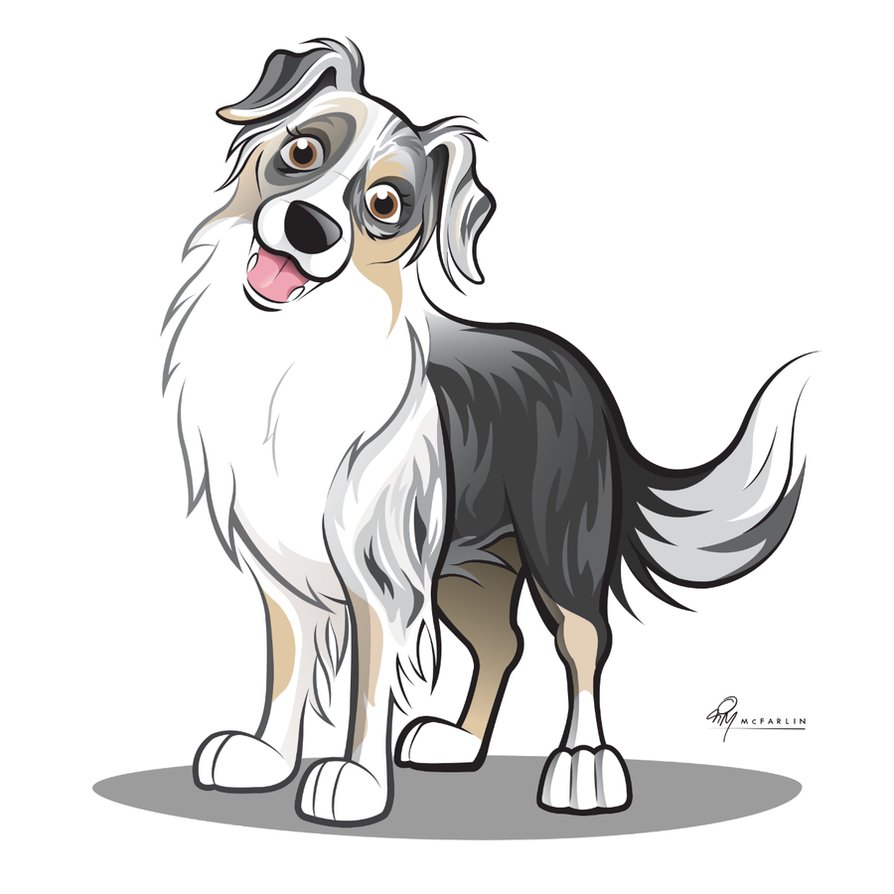 Australian Shepherd Zeichnen Leicht - INONO.ICU