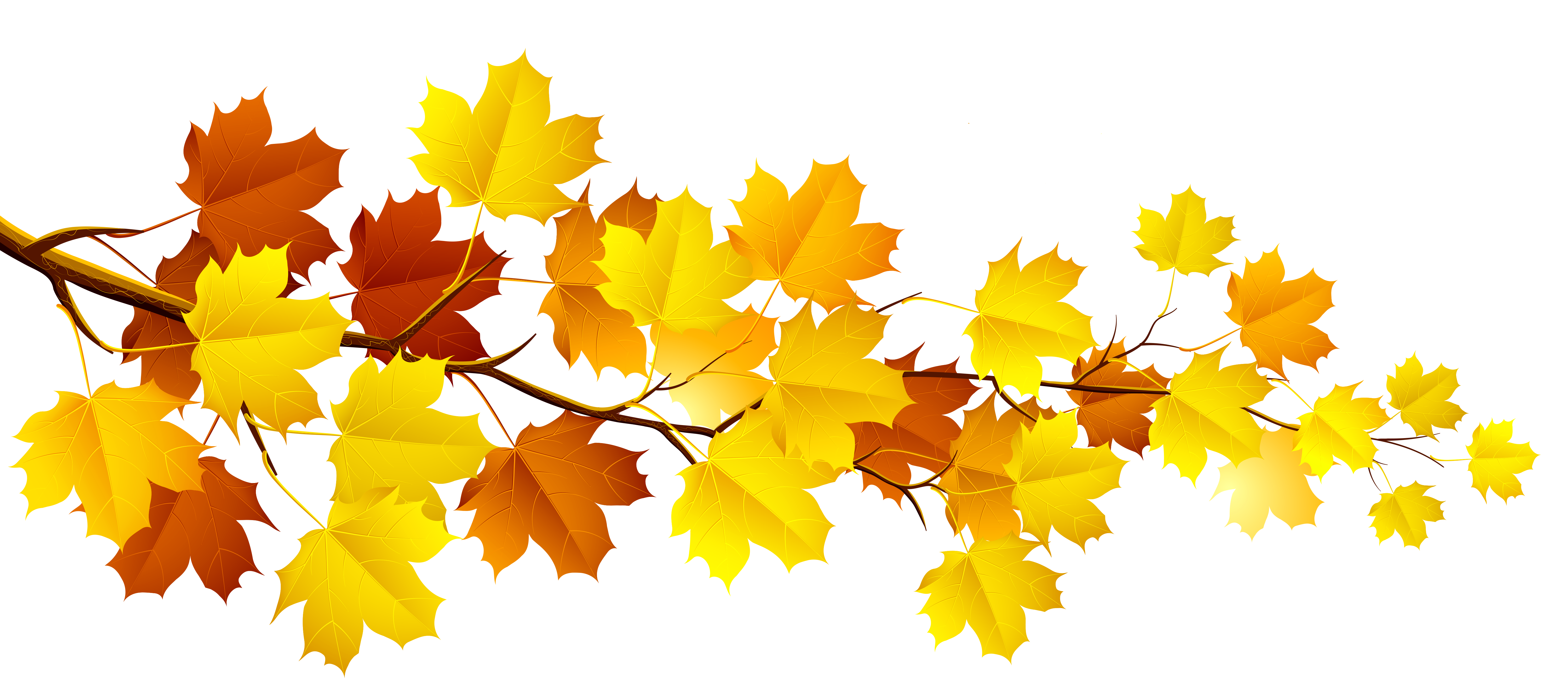 Fall and autumn clipart seasonal graphics.
