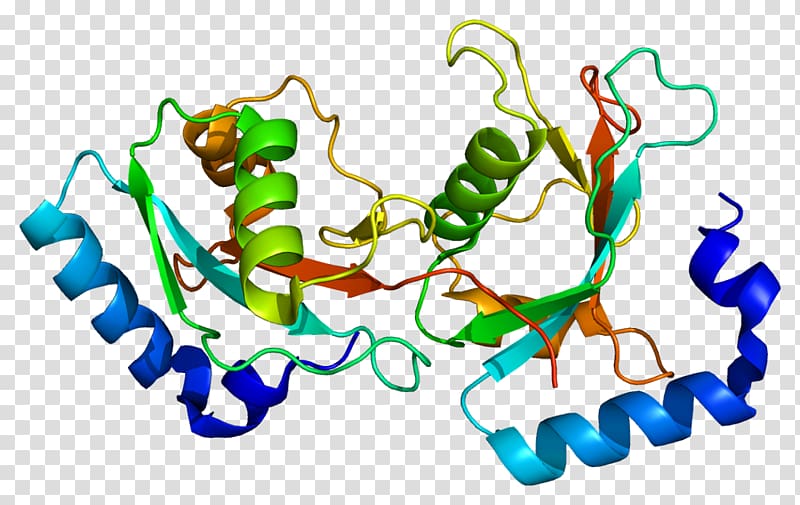 GABARAPL2 ULK1 Autophagy Gene GABA receptor, starvation.