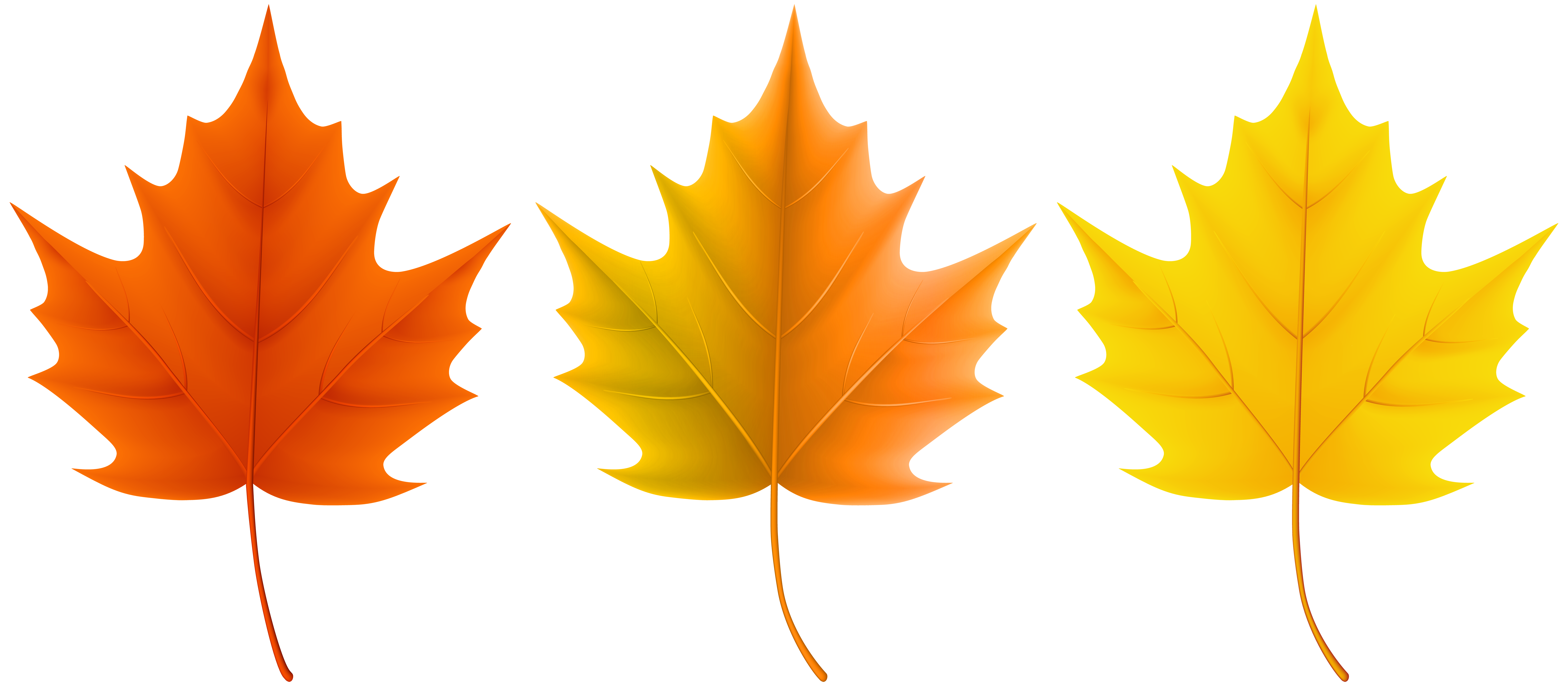 Autumn Leaves Set PNG Clip Art Image.