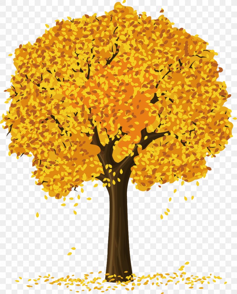 Tree Clip Art, PNG, 917x1136px, Tree, Autumn, Branch, Floral.