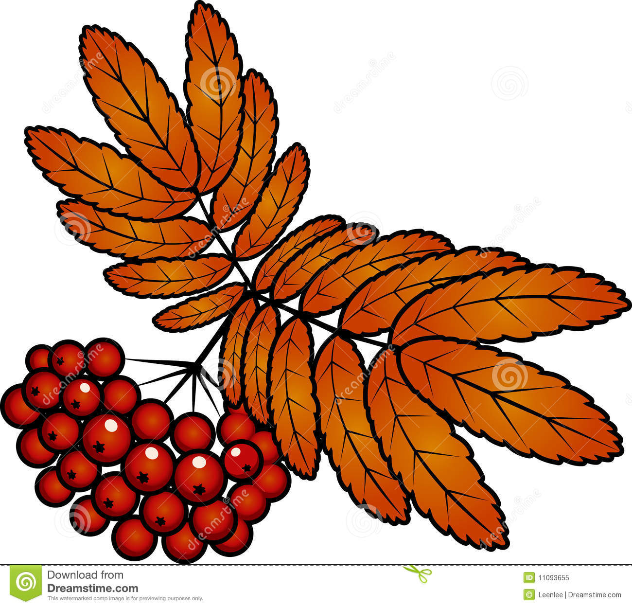 рябиновые листья осенью картинки для детей