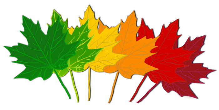 Fall color leaves clipart.