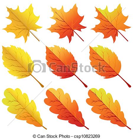 Color Fall Leaves Clipart.