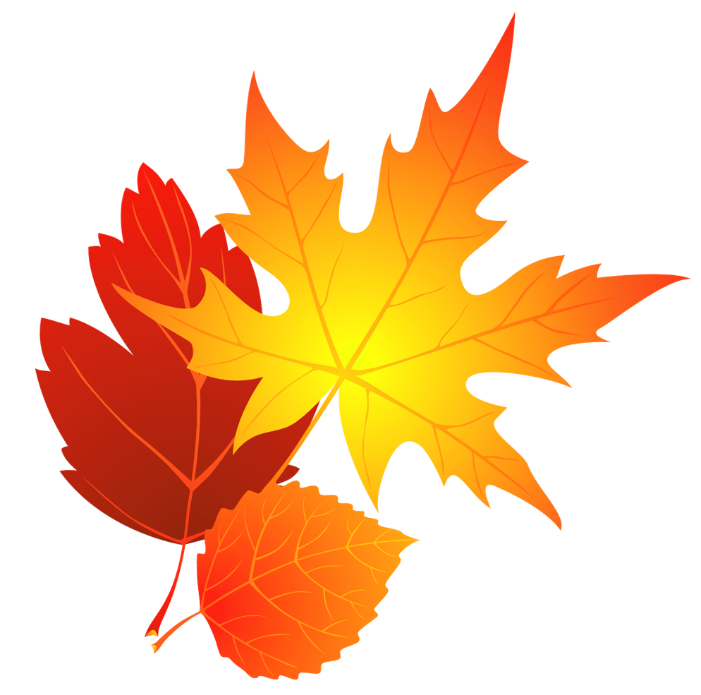 Color Fall Leaves Clipart.