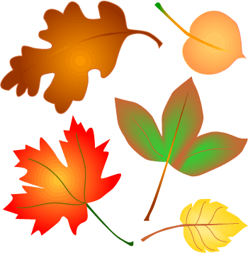 Fall leaves tree with autumn leaves illustration color clip art.