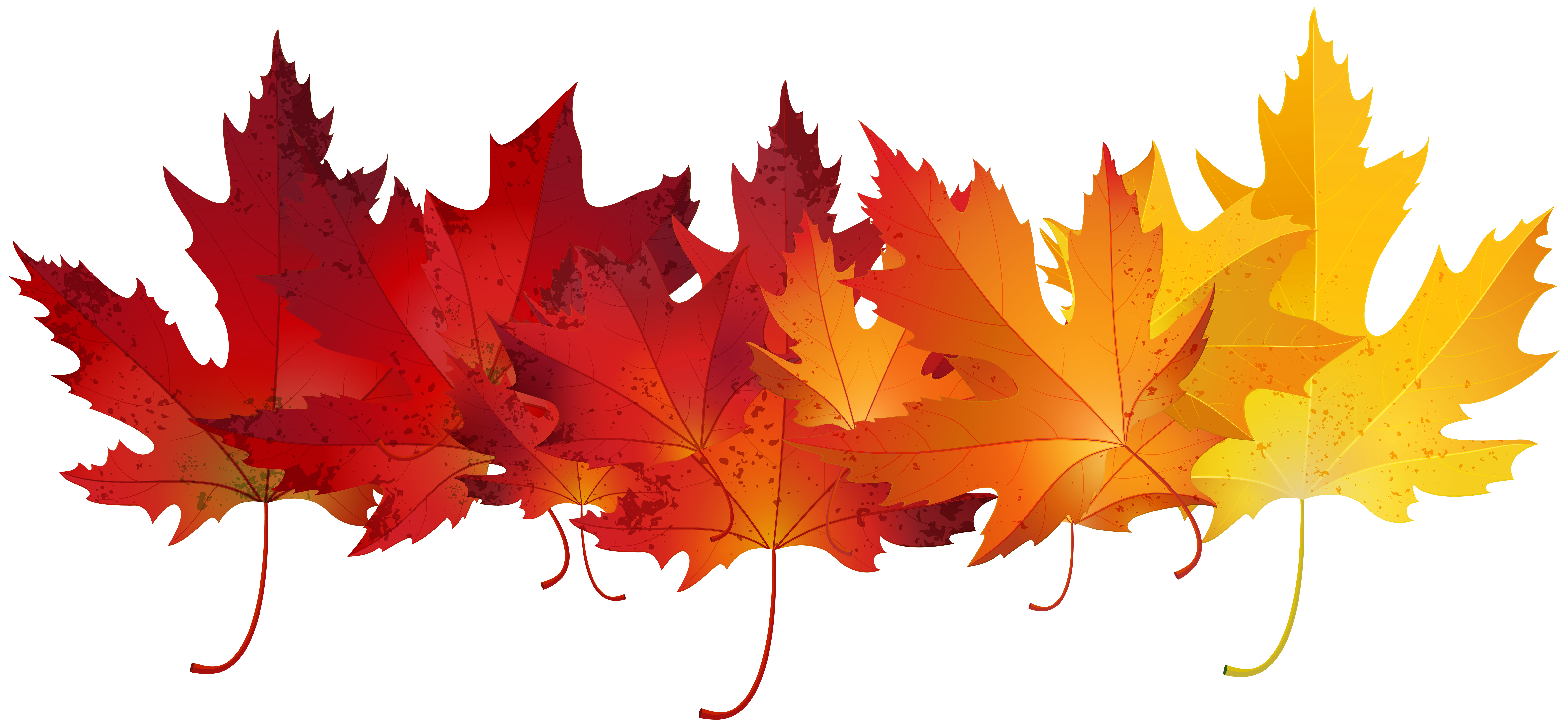 Usa Autumn Leaves Clipart 20 Free Cliparts Download Images On