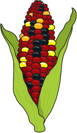 Free Fall Corn Cliparts, Download Free Clip Art, Free Clip.