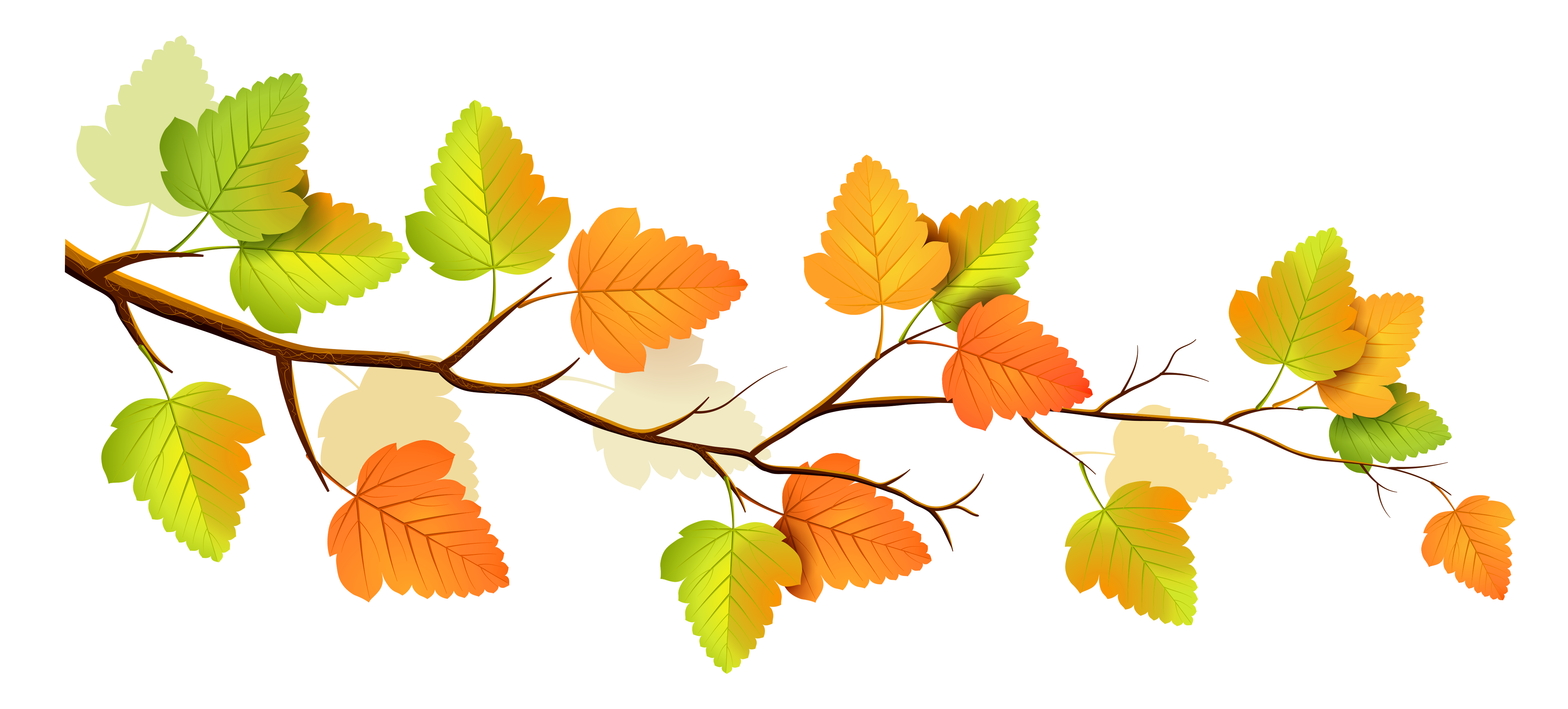 Autumn decoration clipart 20 free Cliparts | Download images on