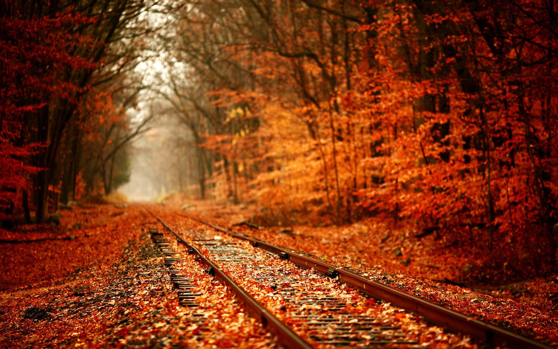 Autumn Backgrounds , Best Background Images , HD Wallpaper.