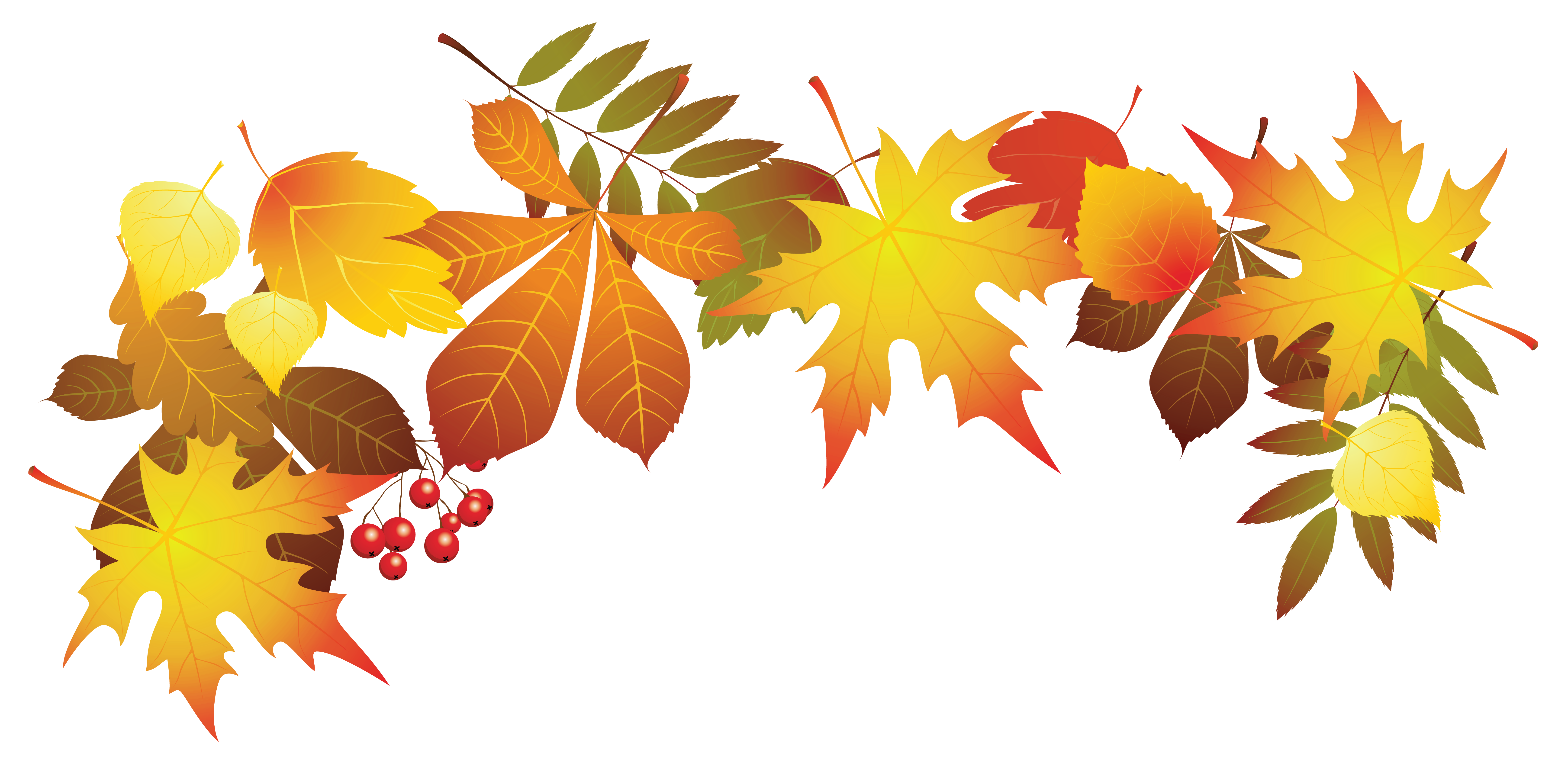 Autumn leaf color Clip art.