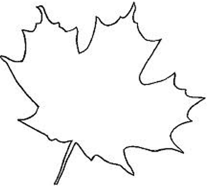 Sugar maple Japanese maple Canada Maple leaf, Maple Leaf.
