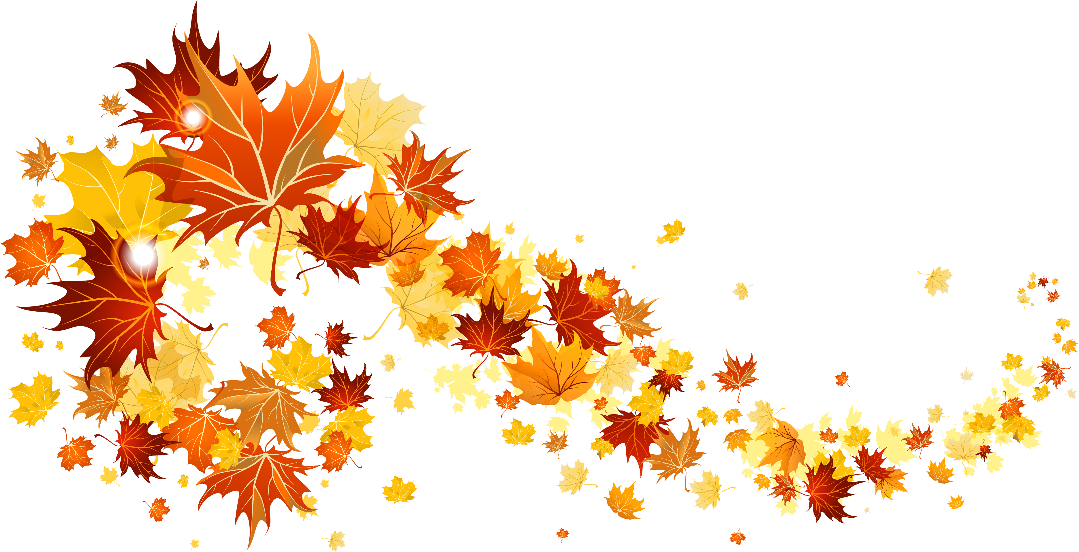 Autumn leaf color Clip art.