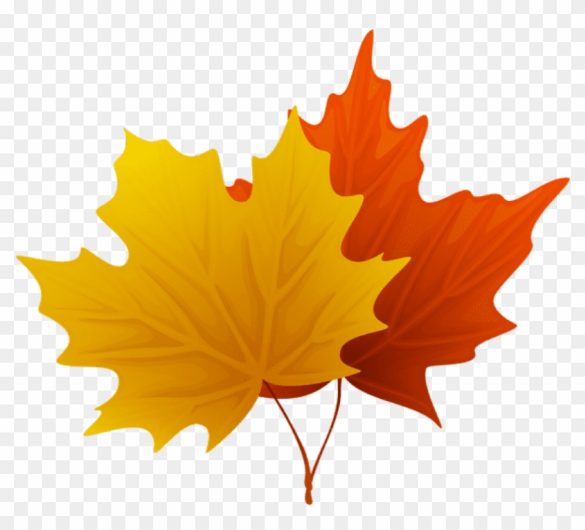 autumn maple leaf clip art 20 free Cliparts Download