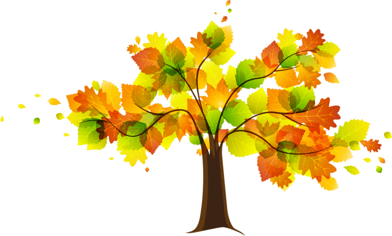 Fall clipart autumn tree, Fall autumn tree Transparent FREE.