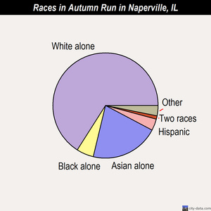Autumn Run neighborhood in Naperville, Illinois (IL), 60563.