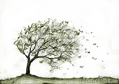 Autumn storm clipart 20 free Cliparts | Download images on Clipground 2023