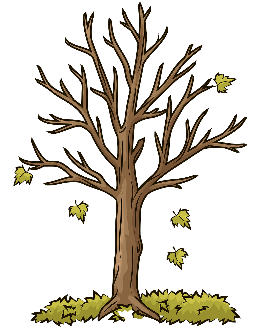 trees clipart fall