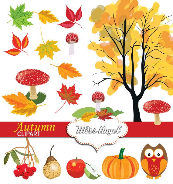 1000+ ideas about Autumn Illustration on Pinterest.