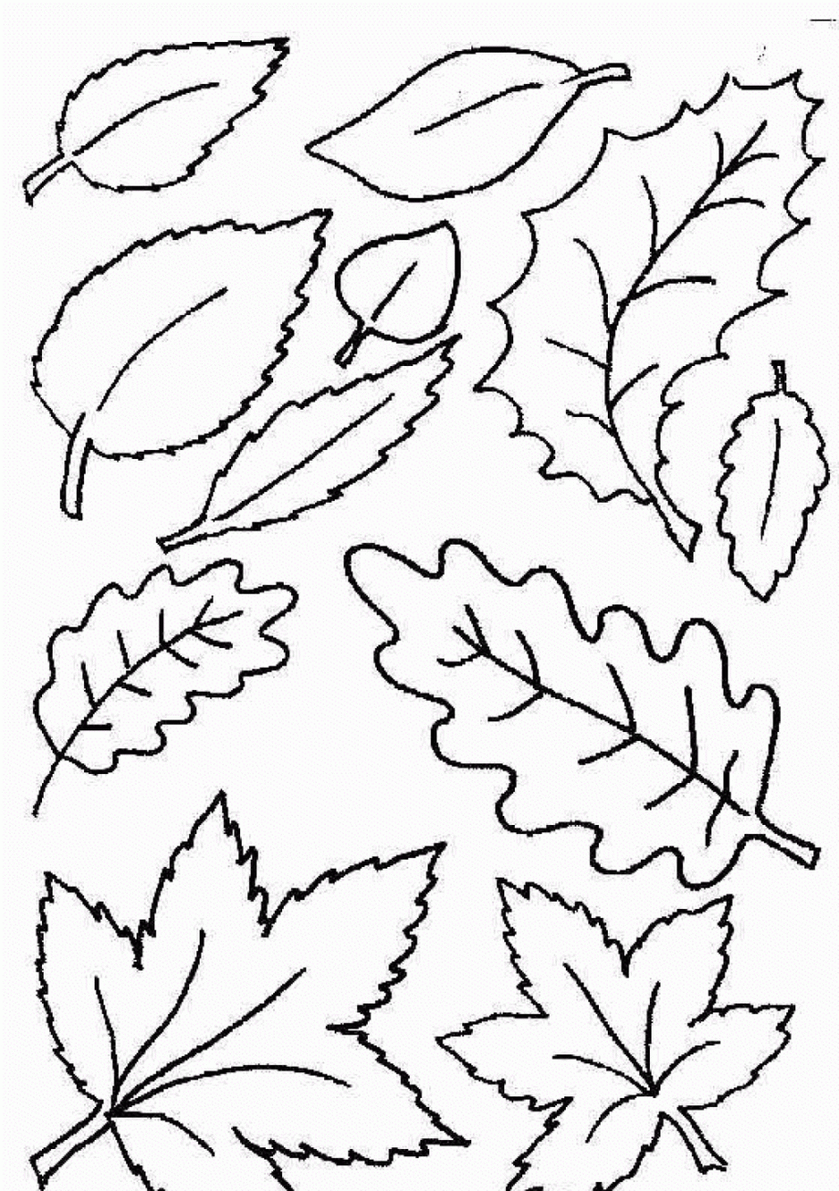 autumn borders clip art black and white.