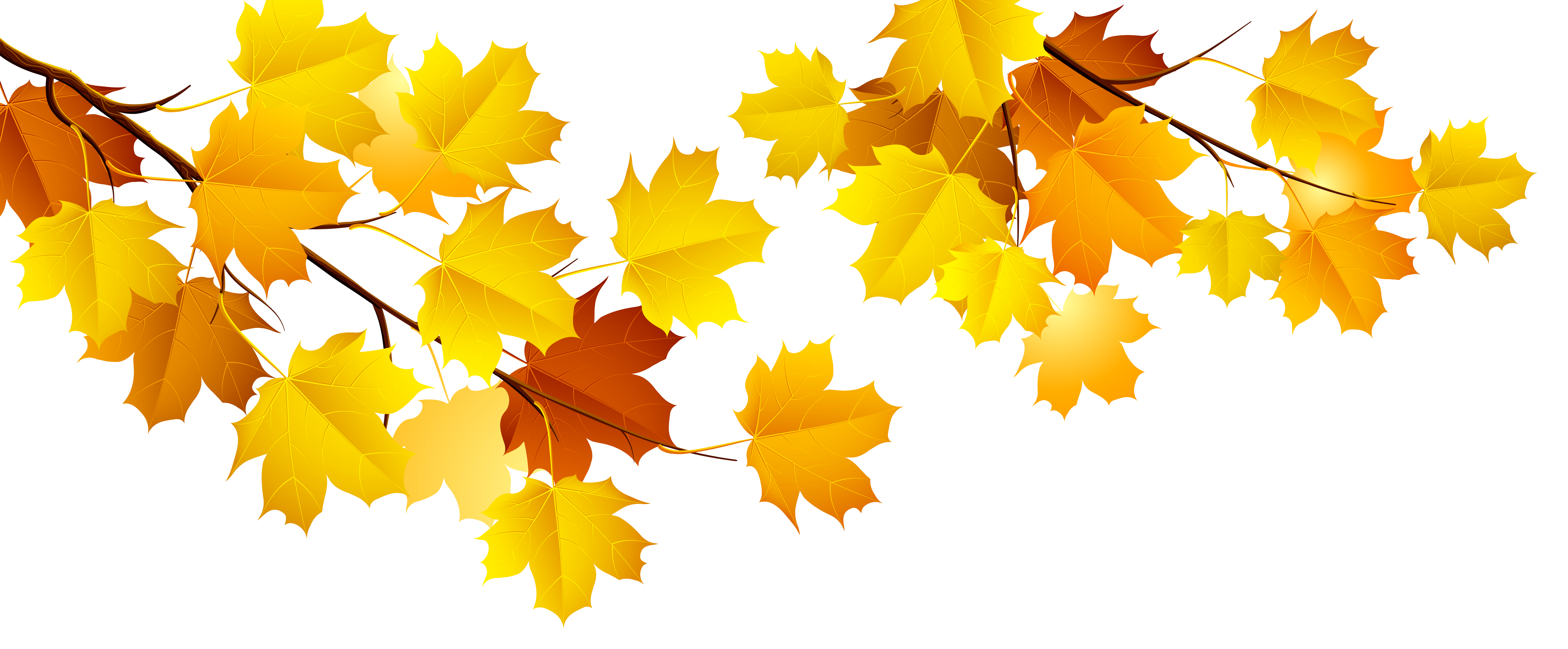 Fall Tree Branch Clipart Png 20 Free Cliparts Download Images On