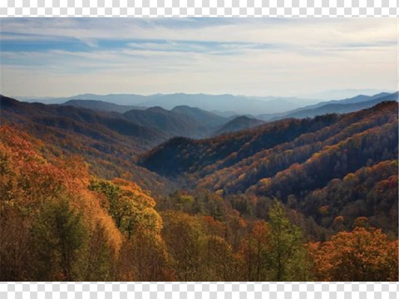 Clingmans Dome Knoxville National park Hotel, park.