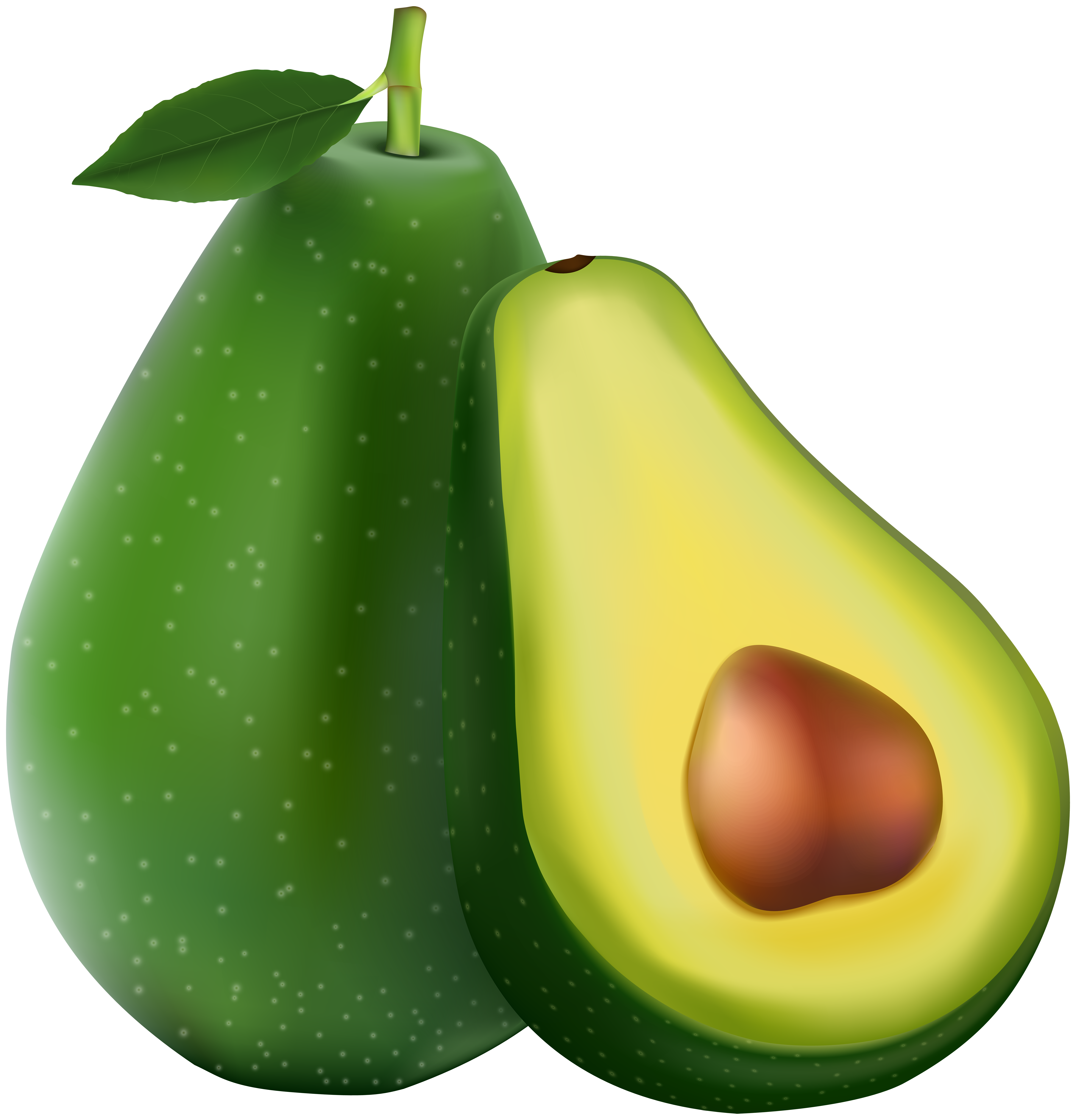 Avocado Transparent PNG Image.