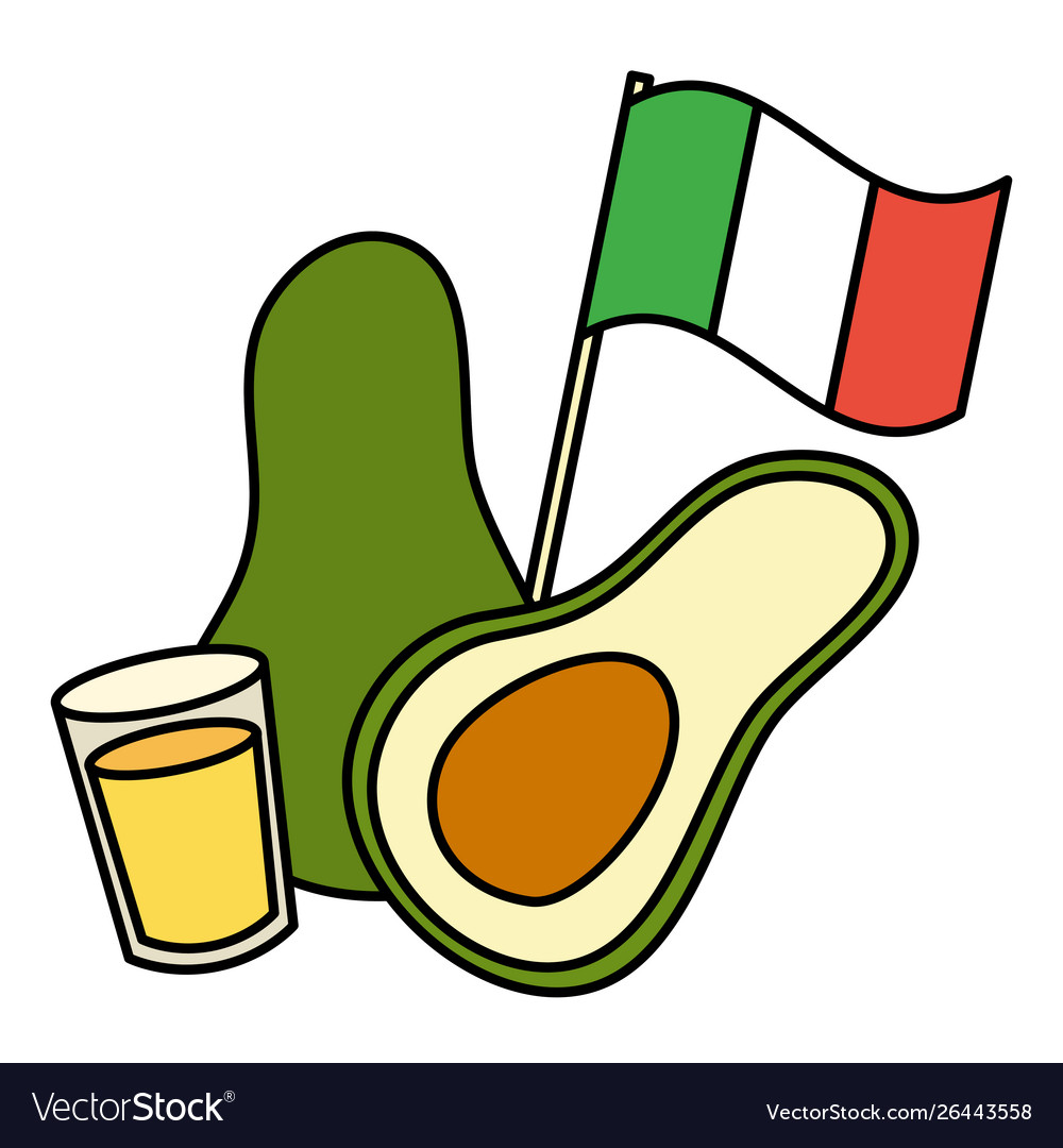 Avocado with mexican flag and tequila cup.
