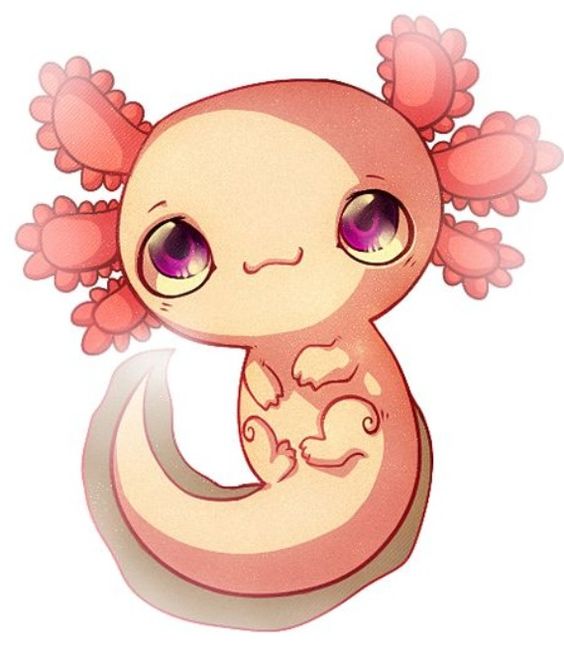 Axolotl Clipart 20 Free Cliparts Download Images On Clipground 2024