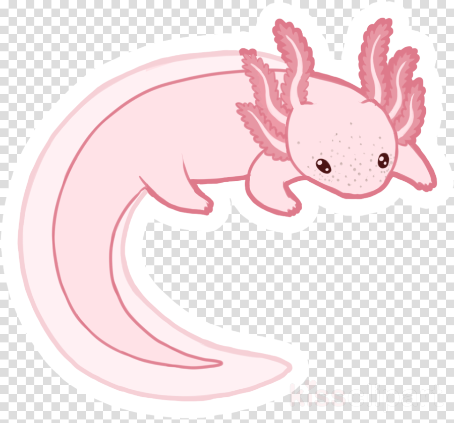 axolotl pink cartoon clip art salamander clipart.