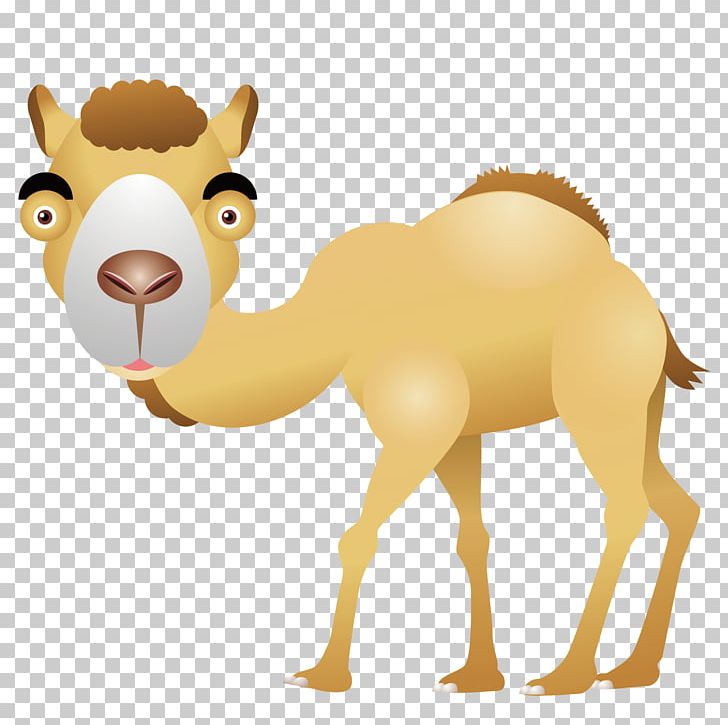 Camel Desert Computer File PNG, Clipart, Adobe Illustrator.
