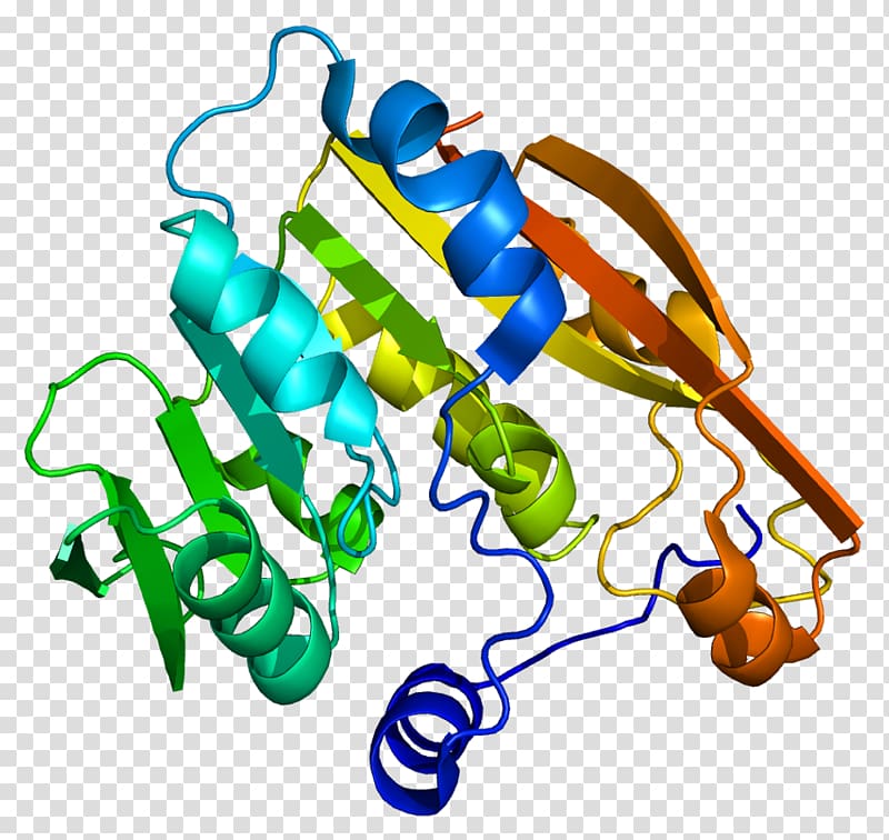 Thiopurine methyltransferase Pharmacogenetics Mercaptopurine.