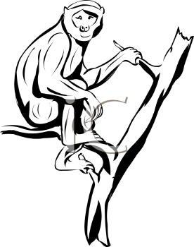 Monkey In A Tree Clipart Black And White.