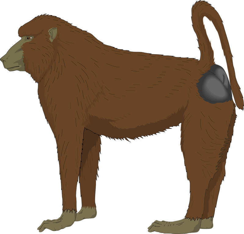 Free to Use & Public Domain Monkey Clip Art.