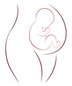 Fetus In Womb Clipart & Free Clip Art Images #28632.