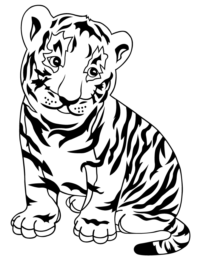 Baby tiger bengal tiger clipart clip art library.