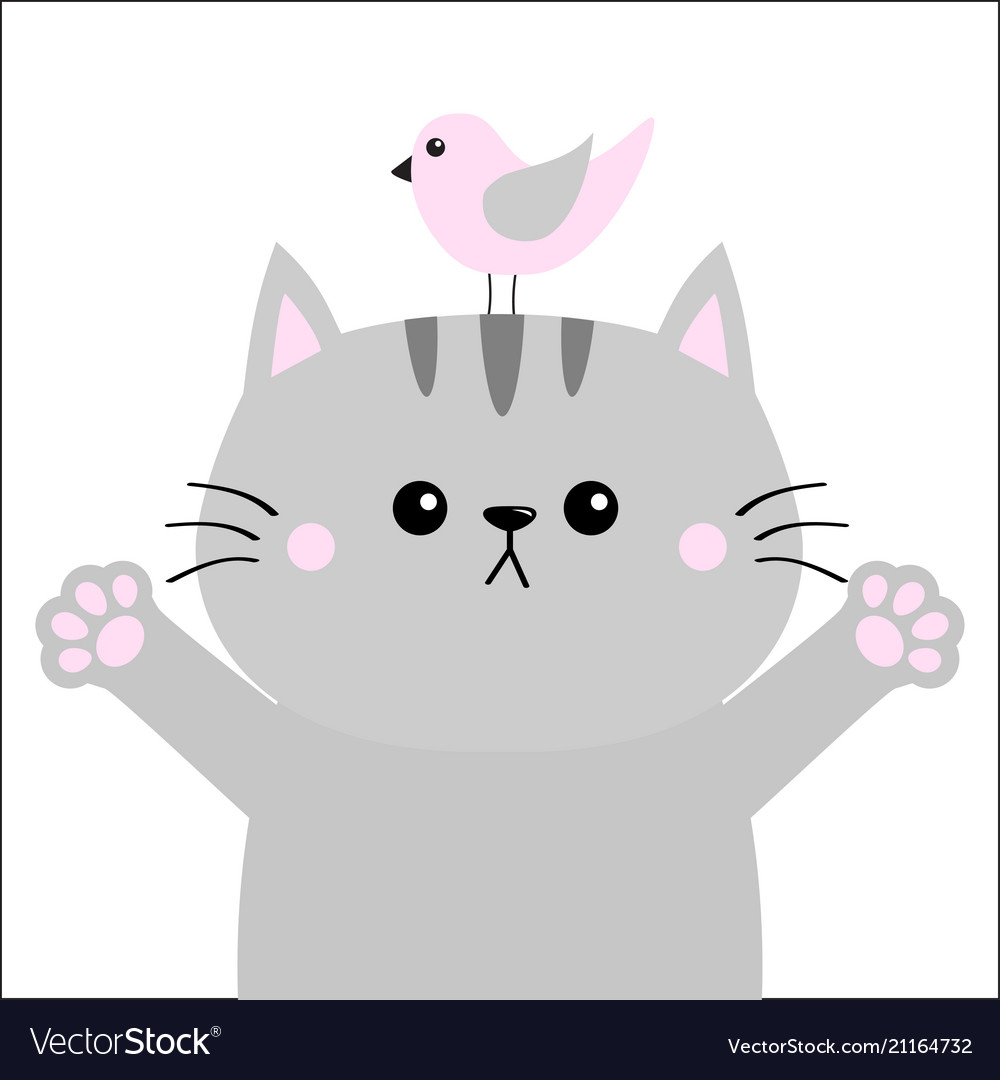 Gray cat ready for a hugging pink bird open hand.