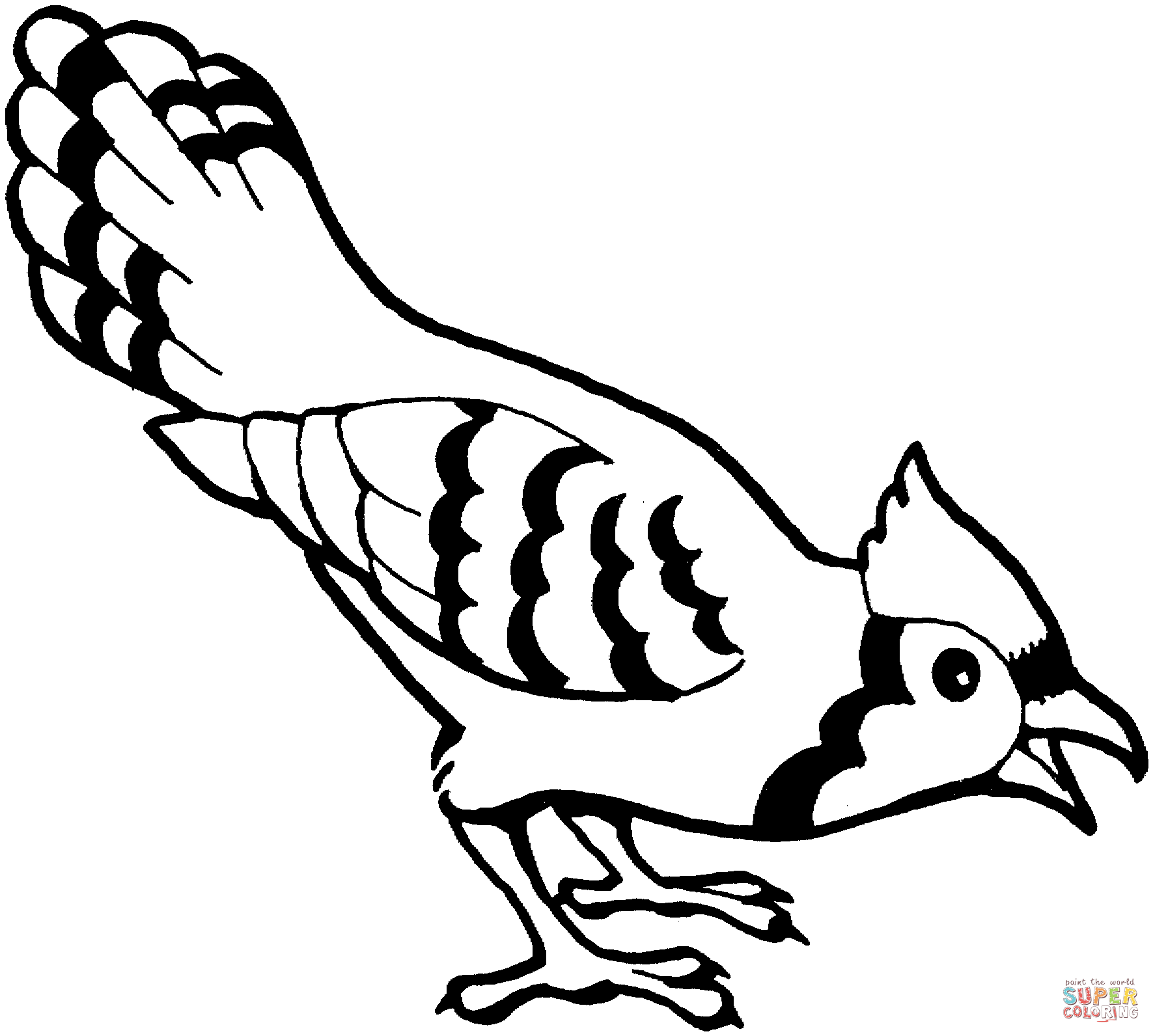 coloring ~ Blue Jay Bird Coloring Page Free Printable Pages.