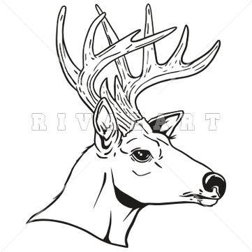 Sports Clipart Image of Black White Bucks 10 Point Hunting.