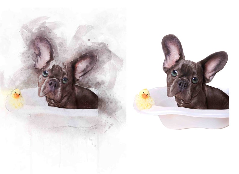 French Bulldog CLIPART, Clip Art Baby Shower, Cute Dogs, Art Wall, Art  Design, Stationary, T.