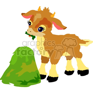 Baby calf eating some grass clipart. Royalty.