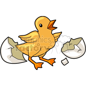 Cute Baby Chick Hatching from its Egg clipart. Royalty.