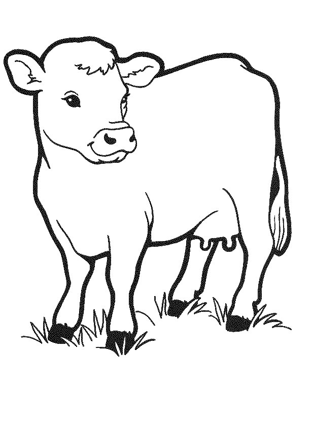 Free Free Cow, Download Free Clip Art, Free Clip Art on.
