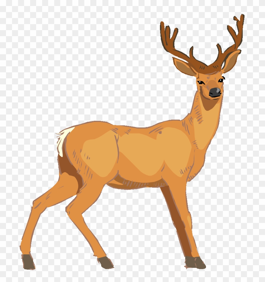 Baby Deer Clip Art Image.