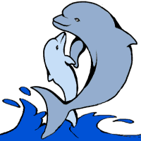 Free Baby Dolphin Cliparts, Download Free Clip Art, Free.