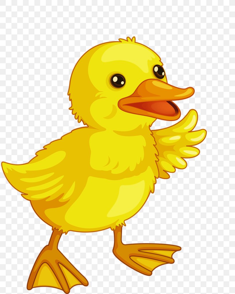 Baby Ducks Baby Duckling Drawing Clip Art, PNG, 812x1024px.