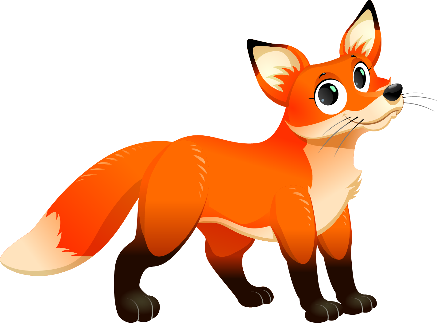 baby fox clipart no background 10 free Cliparts | Download images on