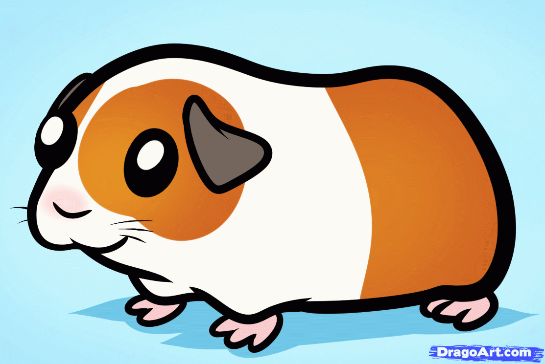 Cartoon Guinea Pig.
