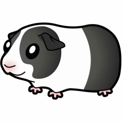 Guinea Pig Clipart & Guinea Pig Clip Art Images.